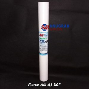 Filter AG 0,1 20"
